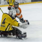 reinter cup 2025,hk humenské levy,hokej,humenné