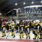 miniturnaj rovesníkov,hk humenské levy,hokej,humenné