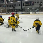 miniturnaj rovesníkov,hk humenské levy,hokej,humenné